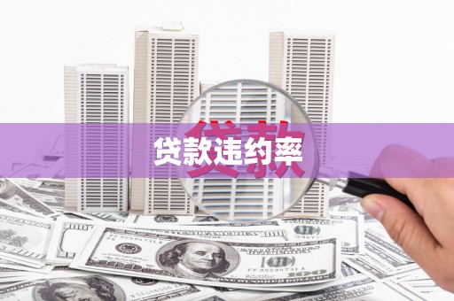 海州贷款违约率