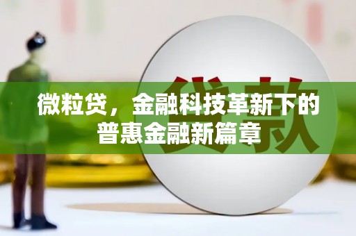 海州微粒贷，金融科技革新下的普惠金融新篇章