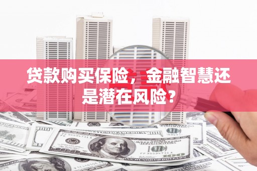 海州贷款购买保险，金融智慧还是潜在风险？
