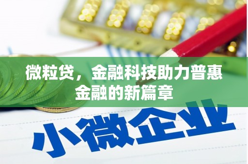 海州微粒贷，金融科技助力普惠金融的新篇章