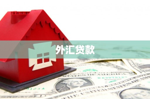 海州外汇贷款