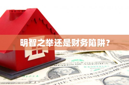 海州明智之举还是财务陷阱？