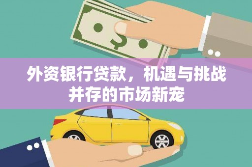 海州外资银行贷款，机遇与挑战并存的市场新宠