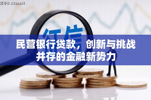 海州民营银行贷款，创新与挑战并存的金融新势力