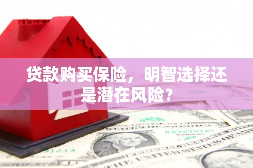 海州贷款购买保险，明智选择还是潜在风险？