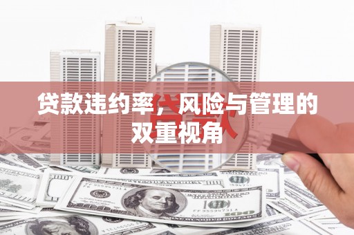 海州贷款违约率，风险与管理的双重视角