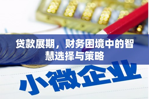 海州贷款展期，财务困境中的智慧选择与策略