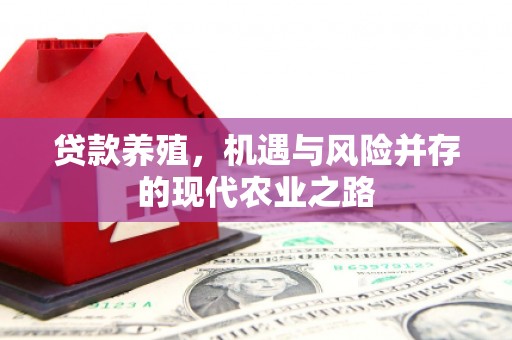 海州贷款养殖，机遇与风险并存的现代农业之路