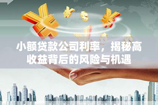海州小额贷款公司利率，揭秘高收益背后的风险与机遇