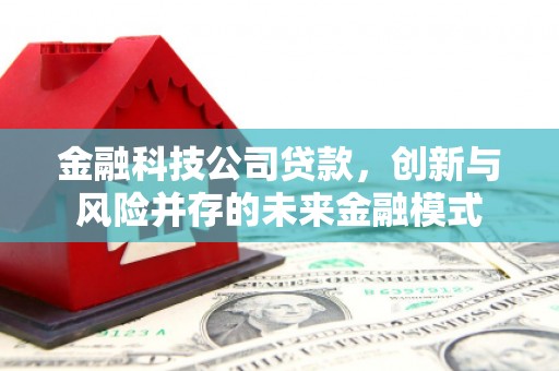 海州金融科技公司贷款，创新与风险并存的未来金融模式