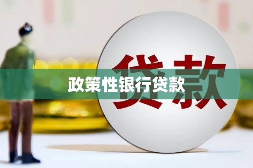 海州政策性银行贷款