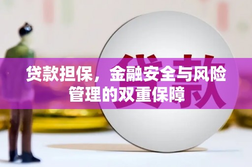 海州贷款担保，金融安全与风险管理的双重保障