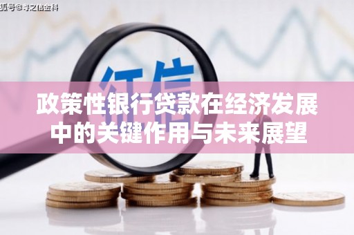 海州政策性银行贷款在经济发展中的关键作用与未来展望