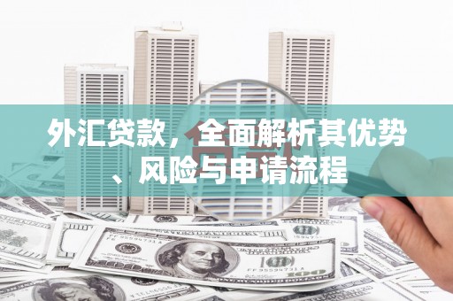 海州外汇贷款，全面解析其优势、风险与申请流程