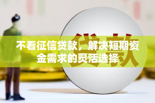 海州不看征信贷款，解决短期资金需求的灵活选择