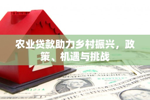 海州农业贷款助力乡村振兴，政策、机遇与挑战