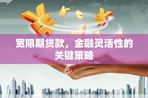 海州宽限期贷款，金融灵活性的关键策略