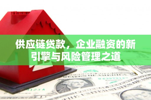 海州供应链贷款，企业融资的新引擎与风险管理之道