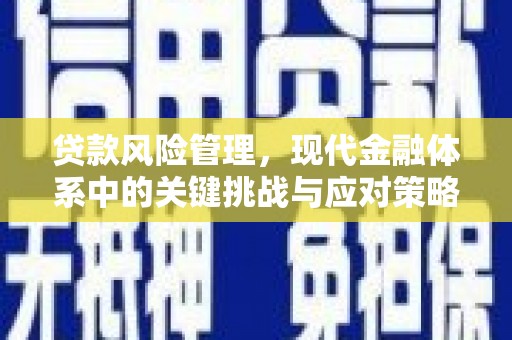 海州贷款风险管理，现代金融体系中的关键挑战与应对策略