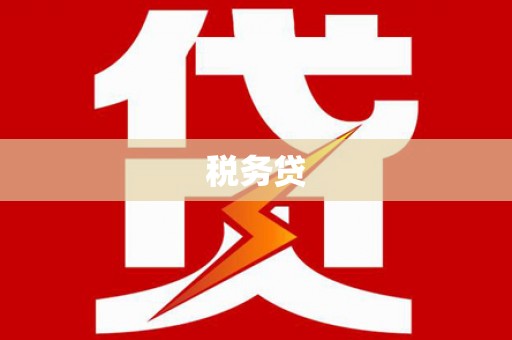 海州税务贷
