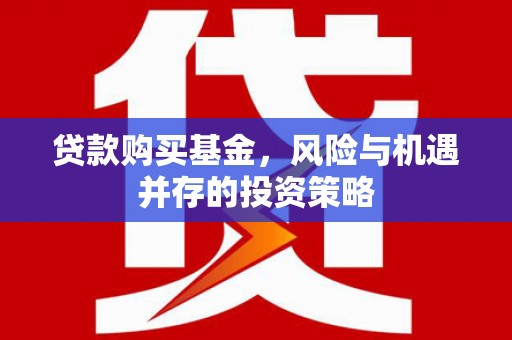 海州贷款购买基金，风险与机遇并存的投资策略