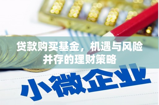 海州贷款购买基金，机遇与风险并存的理财策略