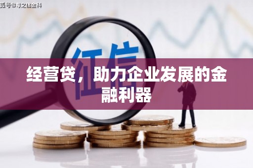 海州经营贷，助力企业发展的金融利器