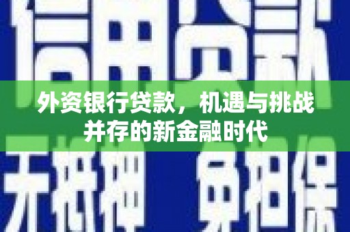 海州外资银行贷款，机遇与挑战并存的新金融时代