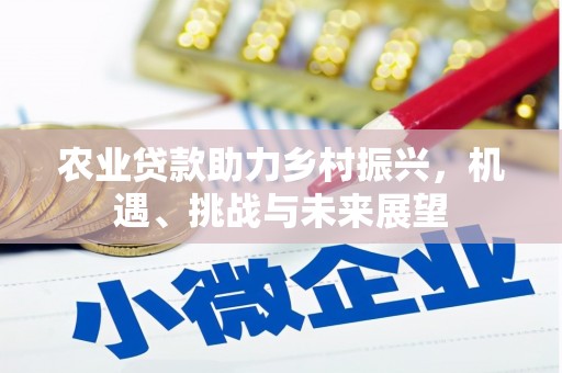 海州农业贷款助力乡村振兴，机遇、挑战与未来展望
