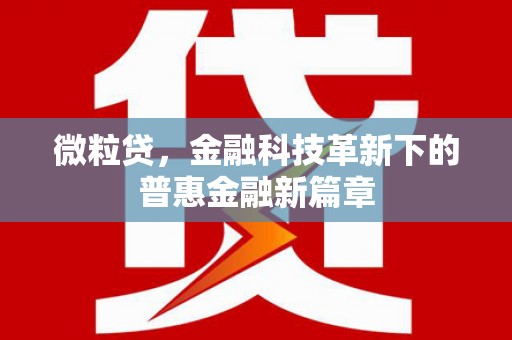 海州微粒贷，金融科技革新下的普惠金融新篇章