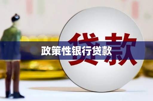 海州政策性银行贷款