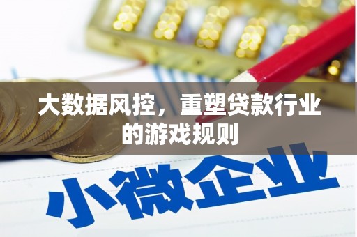 海州大数据风控，重塑贷款行业的游戏规则