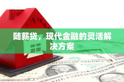 海州随薪贷，现代金融的灵活解决方案