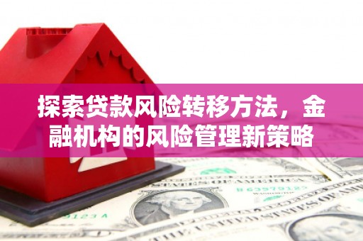 海州探索贷款风险转移方法，金融机构的风险管理新策略