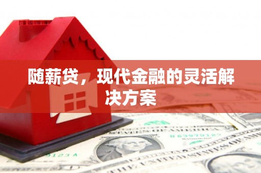 海州随薪贷，现代金融的灵活解决方案