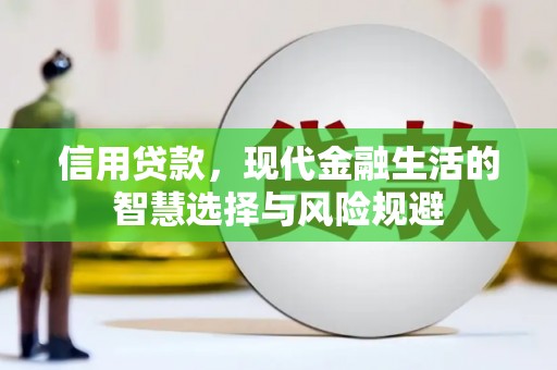 海州信用贷款，现代金融生活的智慧选择与风险规避