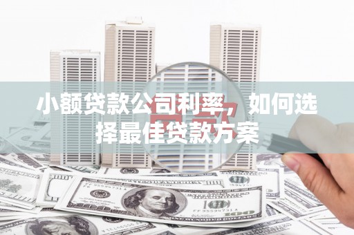 海州小额贷款公司利率，如何选择最佳贷款方案