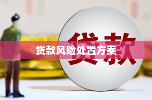 海州贷款风险处置方案