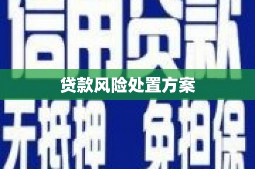 海州贷款风险处置方案