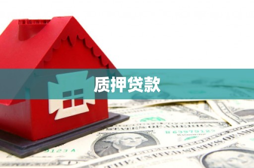 海州质押贷款