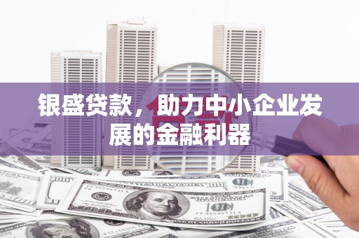 海州银盛贷款，助力中小企业发展的金融利器