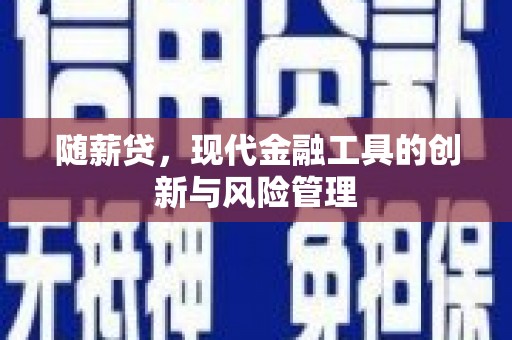 海州随薪贷，现代金融工具的创新与风险管理