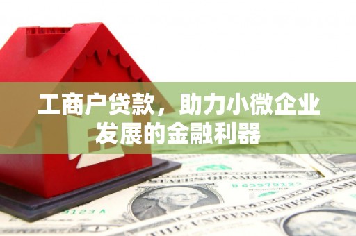 海州工商户贷款，助力小微企业发展的金融利器