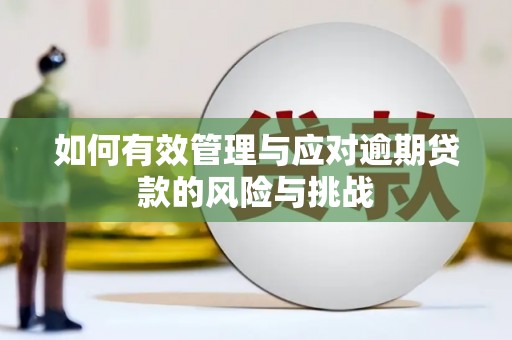 海州如何有效管理与应对逾期贷款的风险与挑战