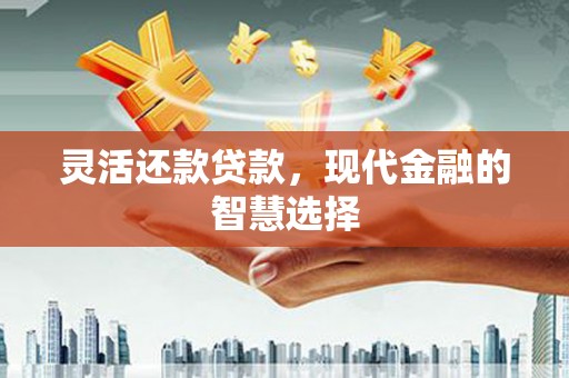 海州灵活还款贷款，现代金融的智慧选择
