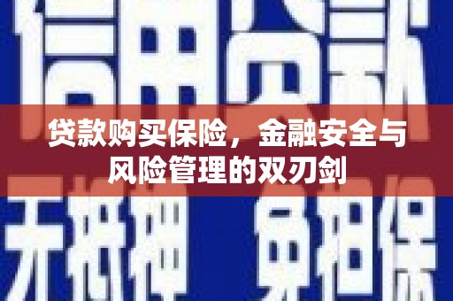 海州贷款购买保险，金融安全与风险管理的双刃剑