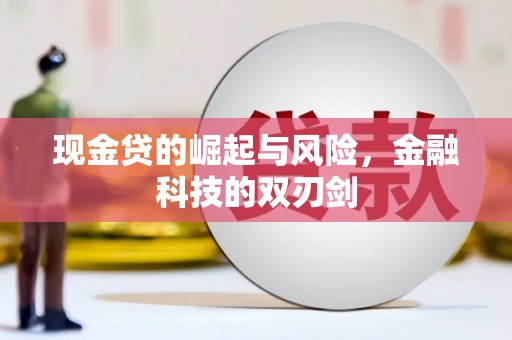 海州现金贷的崛起与风险，金融科技的双刃剑