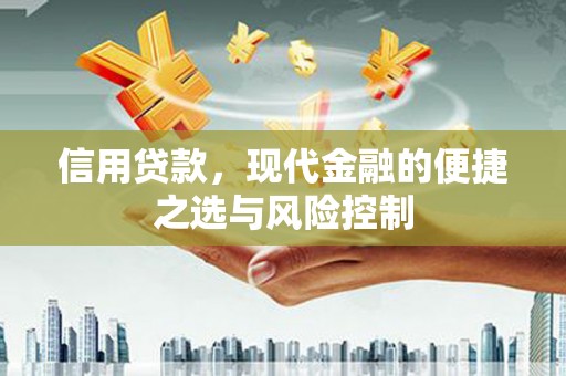 海州信用贷款，现代金融的便捷之选与风险控制