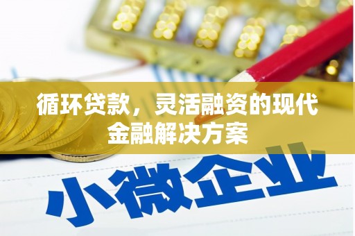 海州循环贷款，灵活融资的现代金融解决方案