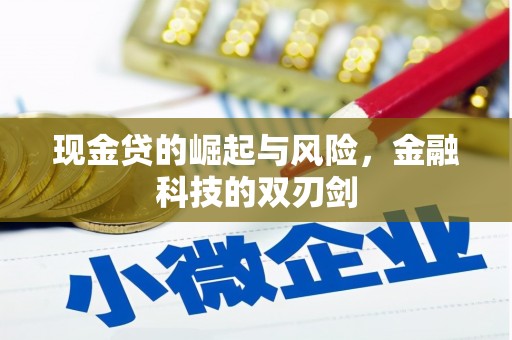 海州现金贷的崛起与风险，金融科技的双刃剑